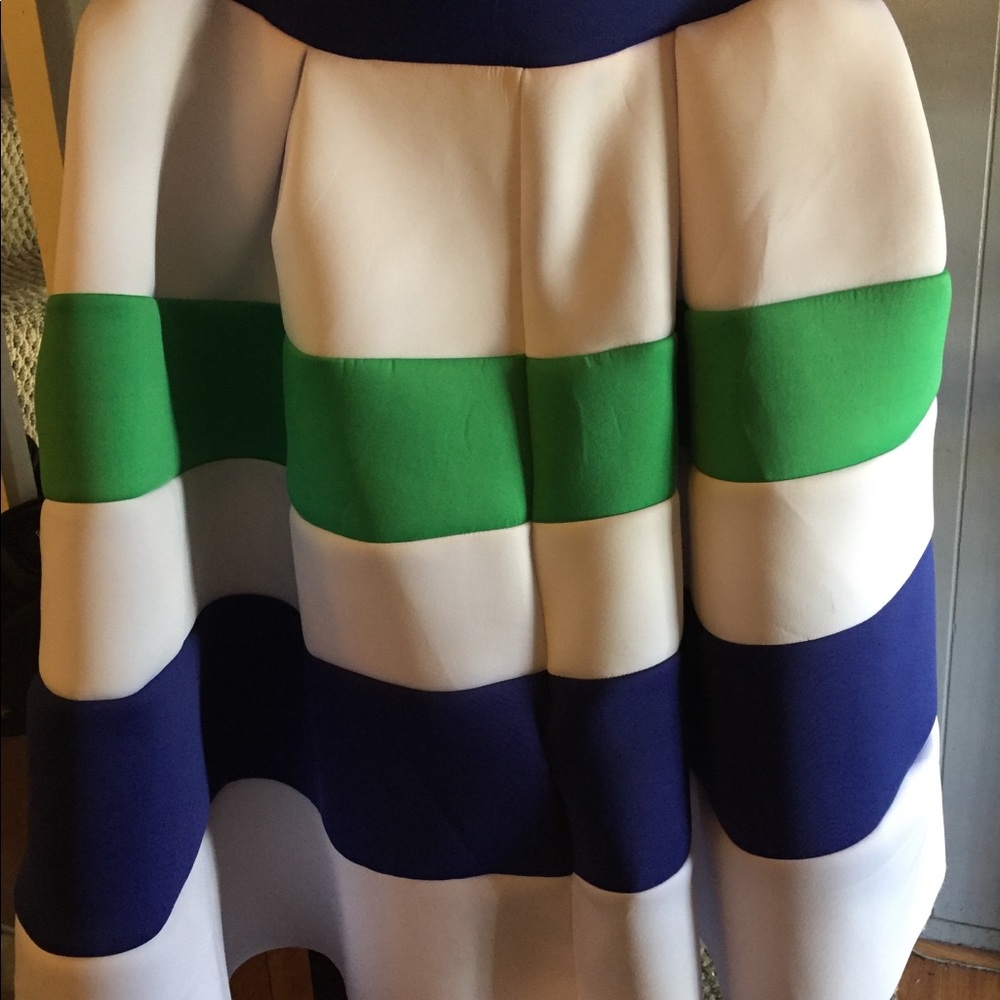 Beautiful ColorBlock PlusSize Skirt AshleyStewart